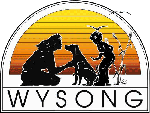 wysonlogosmall